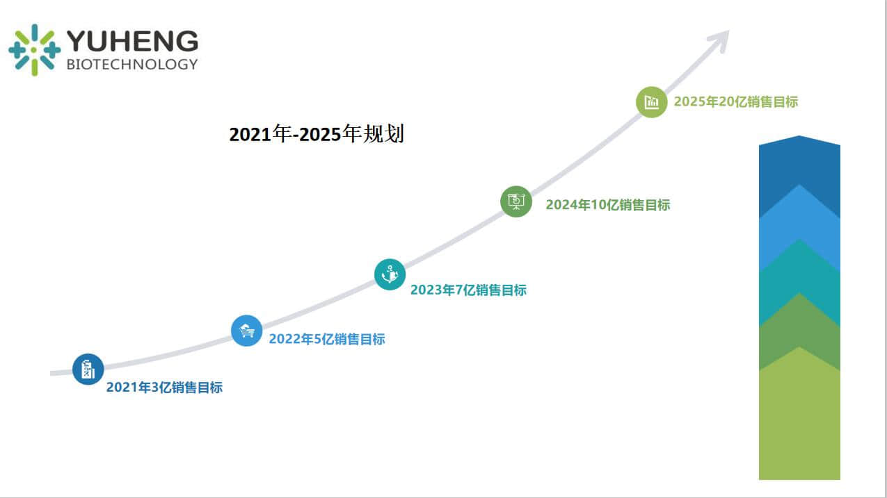 发展历程